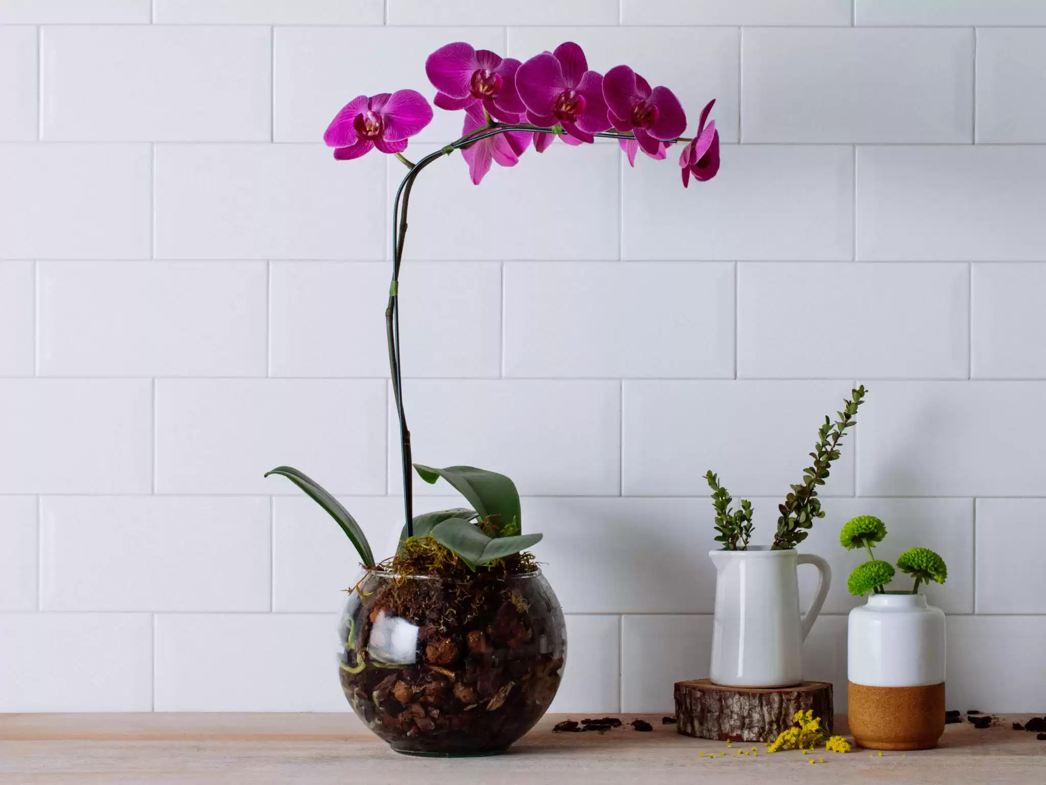 Arranjo De Orquideas Pink Em Bowl De Vidro