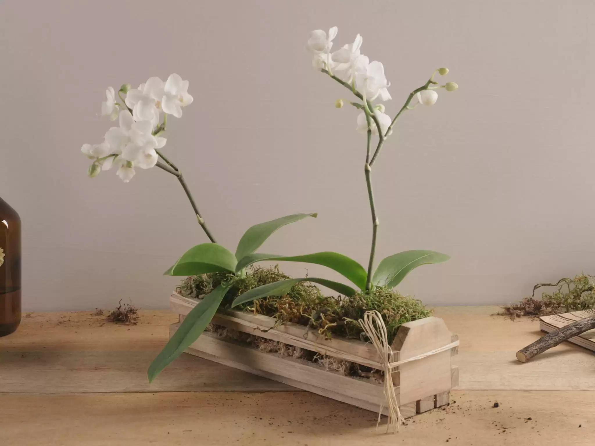 Mini Orquideas Brancas Em Base Rustica De Madeira